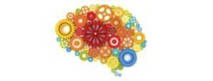 brain: causes of autism